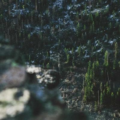 אומנות למסדרון